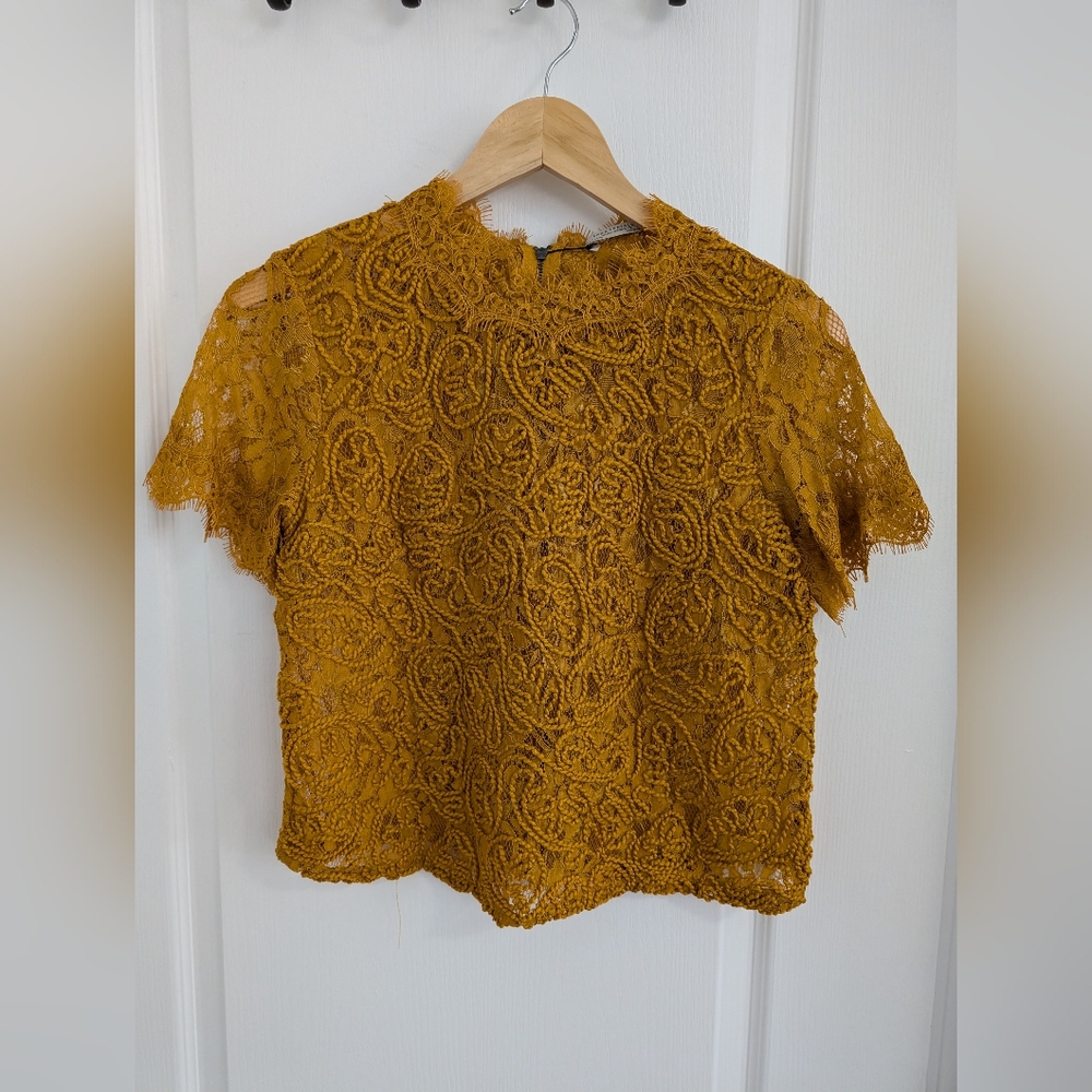 NWT Zara Women's Semi-Sheer Yellow Lace Crop Top - Size Medium